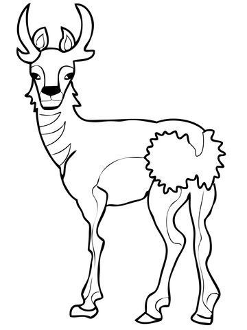 North American Pronghorn Coloring Page